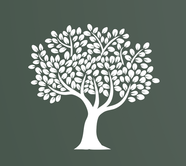 Amalphis logo